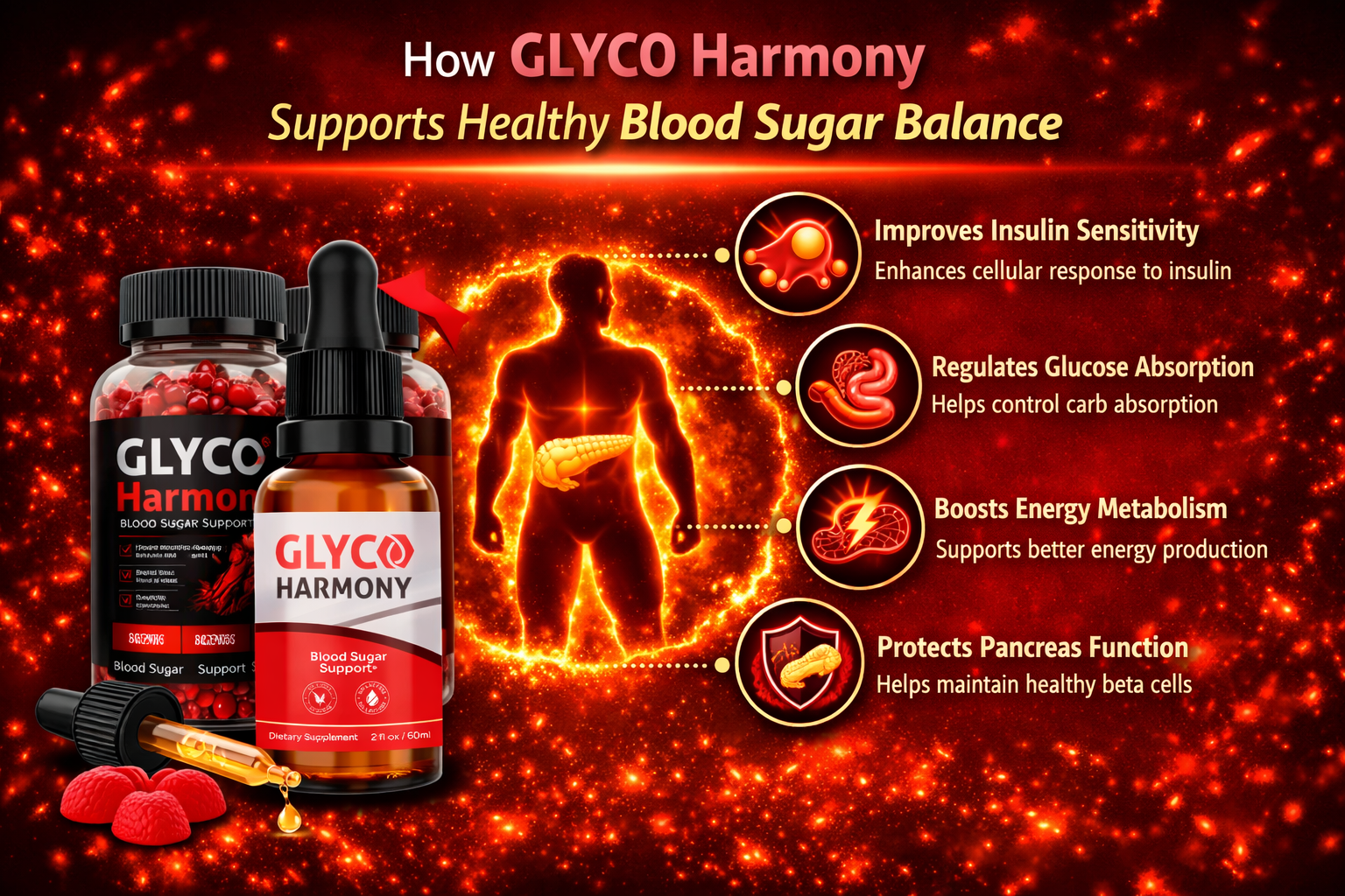 How Glyco Harmony works — supports healthy insulin function, glucose metabolism, and energy